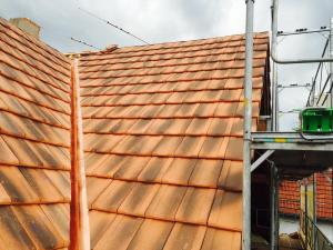 Kehle mit Swiss TL 10 Altnatur